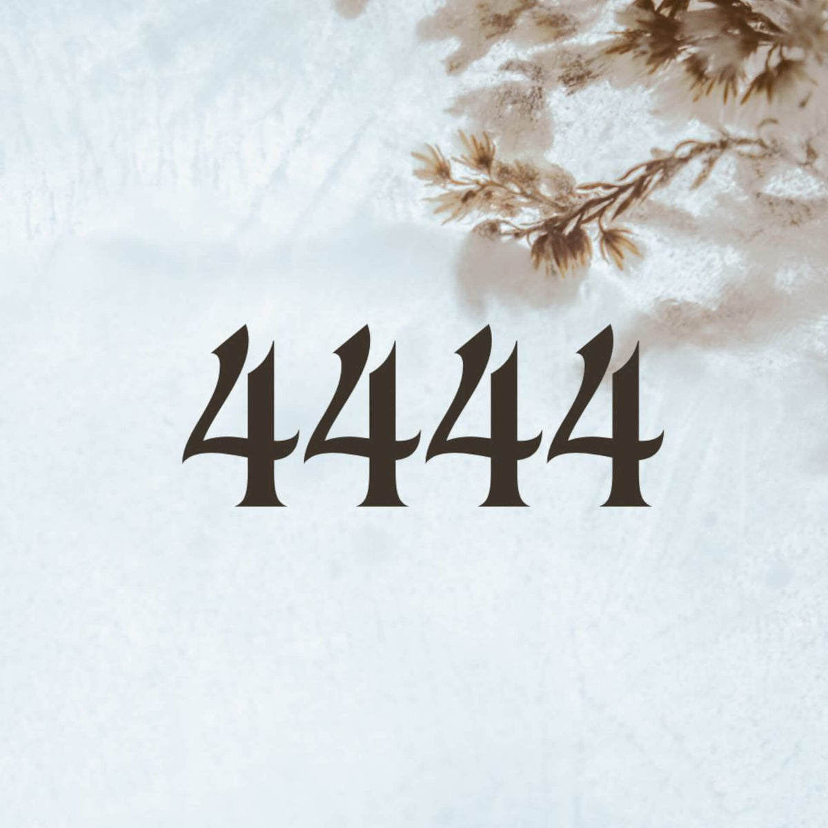 444 Lettering Cursive 4444 Angel Number Meaning for Love, Money, and Twin Flames
