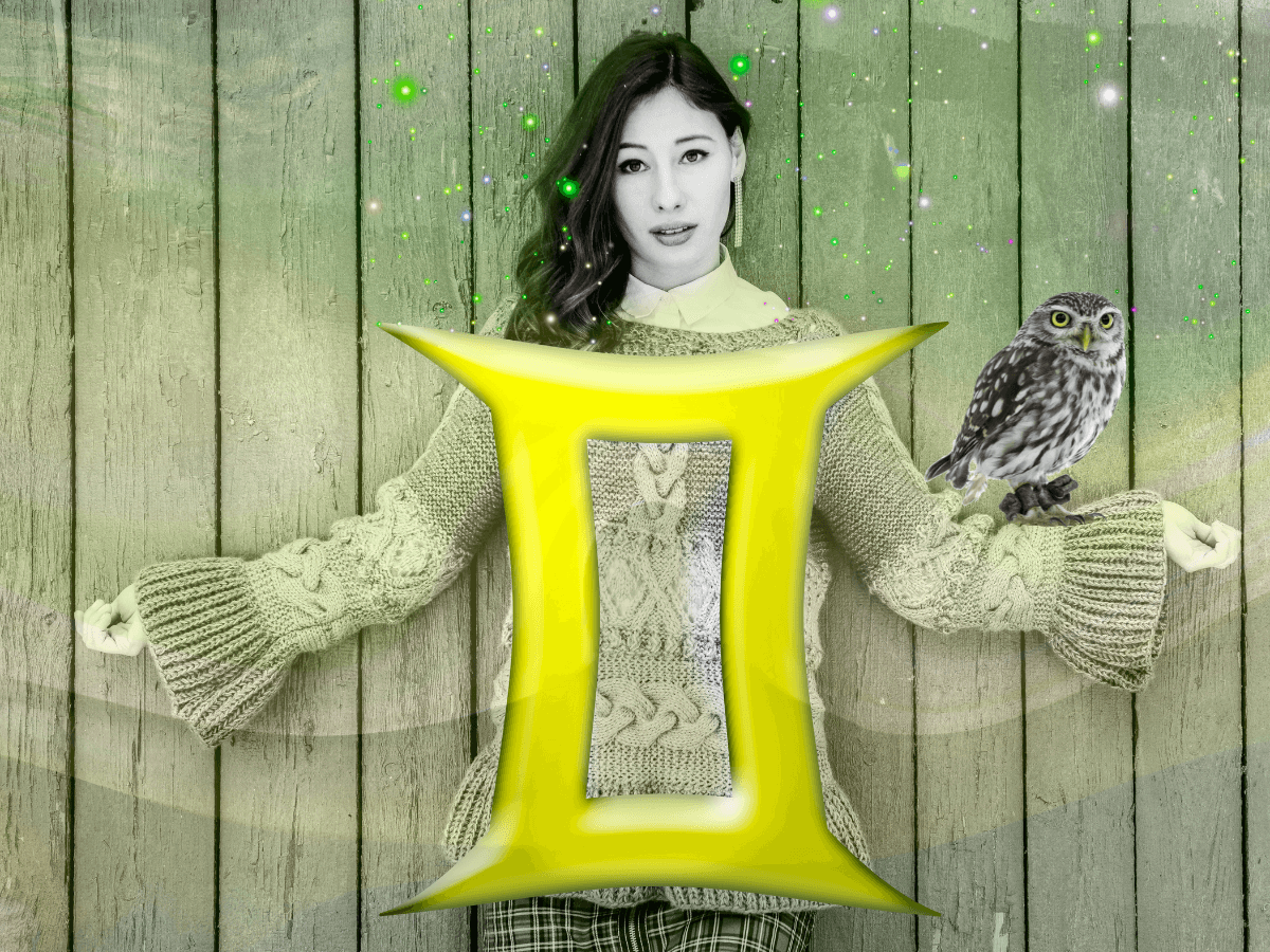 The Gemini Spirit Animal Explained