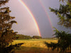 Double Rainbow Meaning Guide You Need