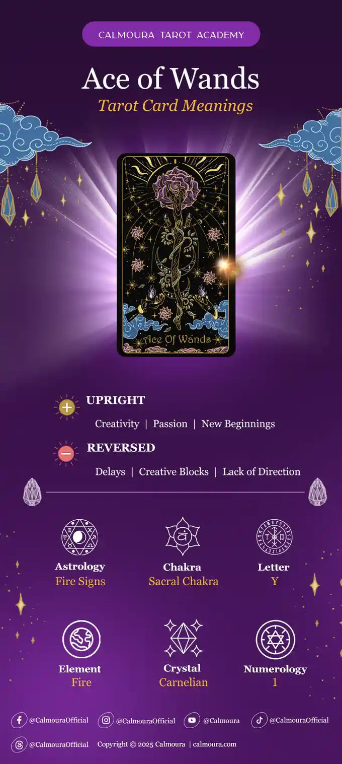 ace of wands cheat sheet